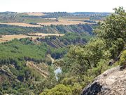 Haga clic en la foto para ampliar