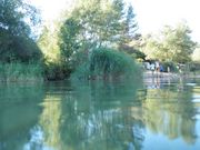 Haga clic en la foto para ampliar